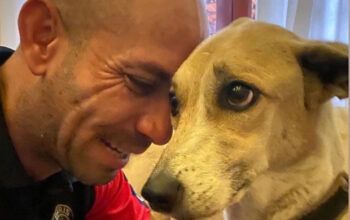 Dono da cachorra Pandora pede indenização de R$ 320 mil à Gol