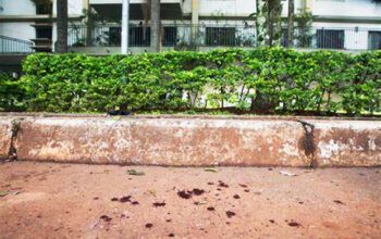 Filho esfaqueia e mata o próprio pai por vingança