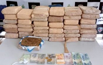 Mulheres são presas no Japurá com mais de 40 kg de maconha que levariam  para Manaus