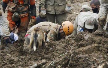 Petrópolis tem 198 mortes e 89 desaparecidos em decorrência da chuva