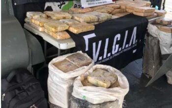 Polícia Militar apreende 230 quilos de maconha no Japurá