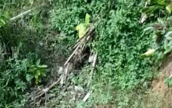 Vídeo: suspeito de estupro é espancado por ‘tribunal do crime’ em Manaus