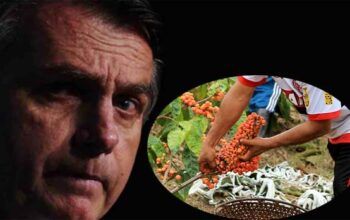 Bolsonaro decreta novo ataque contra a ZFM e os trabalhadores, diz Omar Aziz