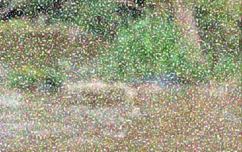 Corpo de homem é encontrado em igarapé no Iranduba