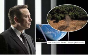 Elon Musk diz estar "super animado" para fazer o monitoramento ambiental da Amazônia