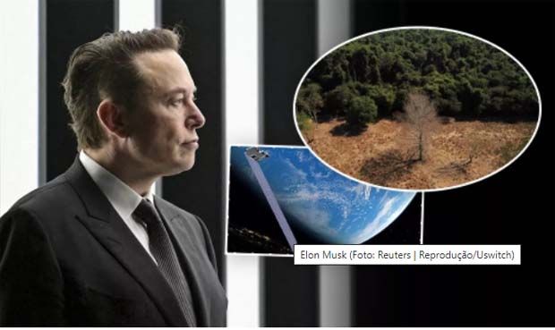 Elon Musk diz estar "super animado" para fazer o monitoramento ambiental da Amazônia