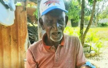 Homem morre com mais de 500 picadas de abelha africanizadas