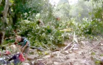 Sobe para 44 o número de mortos em razão das chuvas no Recife