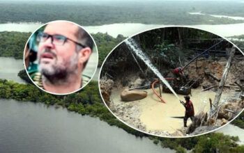 Antes de ser afastado da Funai por Moro, Bruno enfureceu o garimpo com megaoperação no AM