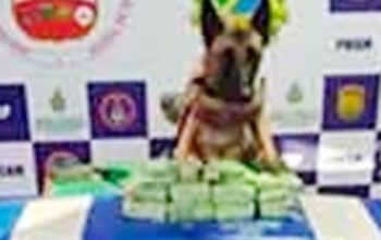 Em Coari, polícia apreende 2 toneladas de maconha encontras na embarcação embarcação F/B Rainha