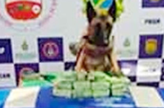 Em Coari, polícia apreende 2 toneladas de maconha encontras na embarcação embarcação F/B Rainha