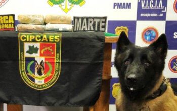 Quatro quilos de maconha são apreendidos em embarcação no município de Coari