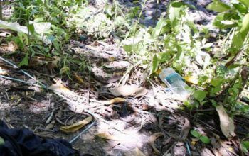 Equipe do Corpo de Bombeiros removem corpo encontrado em igarapé no Parque 10