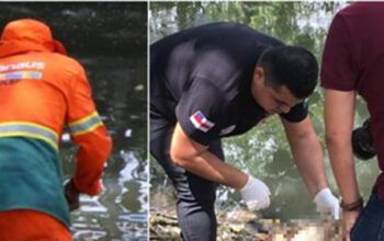 Cadáveres e partes de corpo mutilados são encontrados em vários pontos da cidade