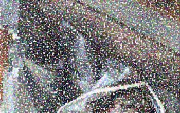 'Sassá' e 'Gasparzinho' morrem durante confronto com a policia no Iranduba