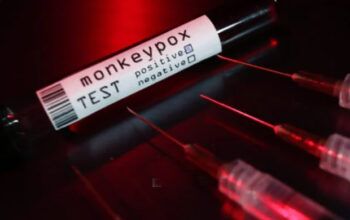 Com mil casos, Brasil começa a tratar varíola dos macacos como surto