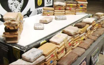 Quase 200 kg de drogas são apreendidos em Anavilhanas, município de Novo Airão