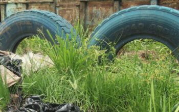 Na zona leste de Manaus, corpo esquartejado é achado dentro de um saco plástico