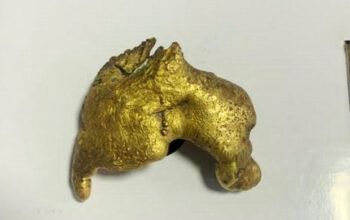 Mulher é presa com  ouro ilegal na bolsa em Coari