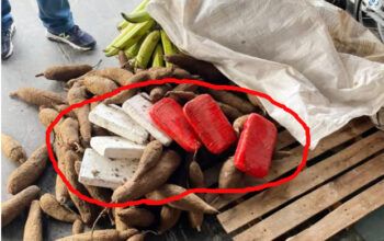 Polícia Federal apreende em Tabatinga cocaína entrada em saco de macaxeira