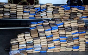 Quase uma tonelada de maconha é apreendida em casa na Cidade Nova em Manaus