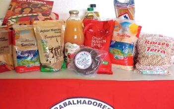 MST vai fornecer 6 meses de produtos saudáveis à eleitora de Lula humilhada por bolsonarista