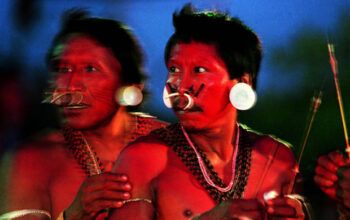 Pensar Amazônia a partir do direito dos povos indígenas