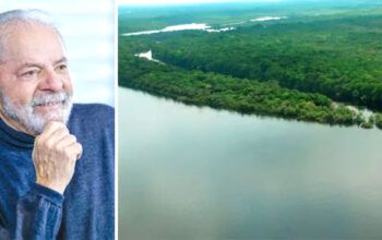 Com eleição de Lula, Noruega retomará ajuda ao Brasil contra o desmatamento