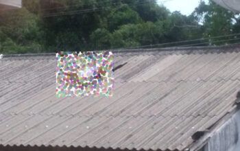 Homem com tornozeleira é alvejado e morre no telhado de casa em Manaus após perseguição