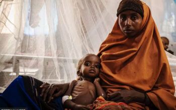 Ratos, ossos e lama: os 'alimentos do desespero' a que famintos recorrem para sobreviver