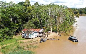 Jaiza Fraxe dá 5 dias para que União comprove proibição de pescadores ilegais no Javari