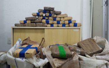 Polícia apreende em Barcelos 130 quilos de maconha  avaliada em R$ 1,9 milhões
