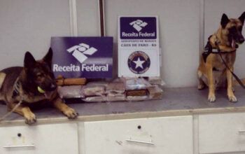 Quase 30 Kg de maconha foram apreendidos em embalagem de açaí no aeroporto de Manaus