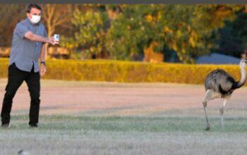 Bolsonaro sai do governo pela porta dos fundos de fininho e voa para os EUA