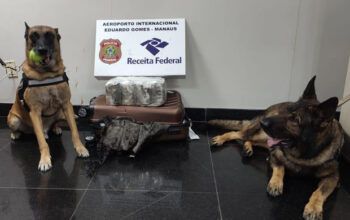 Receita Federal apreende mala com 14,7 quilos de maconha no aeroporto de Manaus