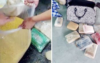 Polícia apreende 16 tabletes de maconha em sacos de farinha em embarcação de Tefé