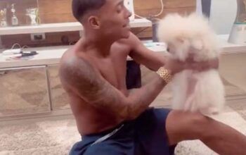 Dono do cachorro que comeu maconha, MC Poze do Rodo é investigado  por maus-tratos