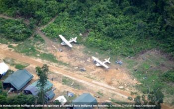Lula manda cortar tráfego de aeronaves do garimpo na região próxima ao território Yanomami