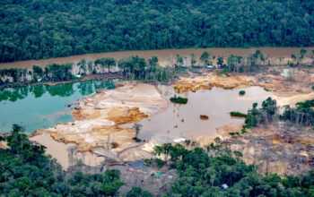 Militares foram comprados pelo garimpo ilegal no início do governo Bolsonaro, aponta relatório