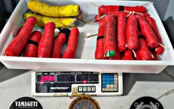 Polícia Federal apreende 7 kg de pasta de cocaína em embarcação no porto de Tabatinga