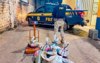 PRF apreende em Humaitá carregamento com mais de 350 Kg de cassiterita