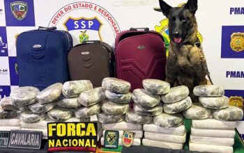 PM apreende em Coari 45 tabletes de cocaína procedente de Tabatinga
