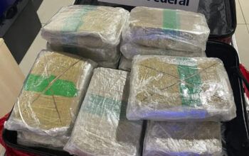 Receita Federal apreende 20,6 kg de maconha do tipo skunk em mala de mulher no aeroporto de Manaus