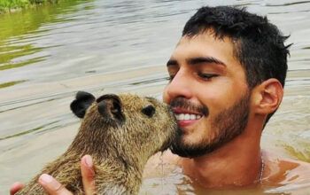 A verdade não contada sobre capivara Filó, o tiktoker capturador e a deputada Joana Darc