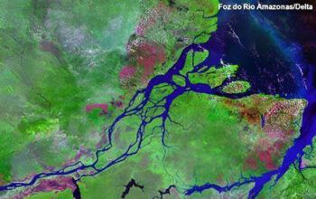 Petrobras pede reconsideração para explorar Foz do Amazonas