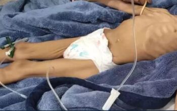 Avó ganha guarda provisória de menina achada após 40 dias sem comer