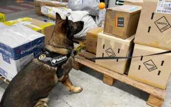 Maconha em embalagens de margarina é apreendida no aeroporto de Manaus