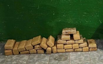 No município de Plácido de Castro (AC) policia apreende 32 quilos de maconha