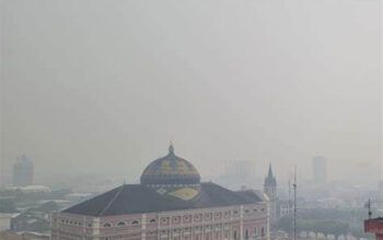 Defensoria Pública pede intervenção federal no Amazonas por falta de competência de Wilson Lima no controle às queimadas