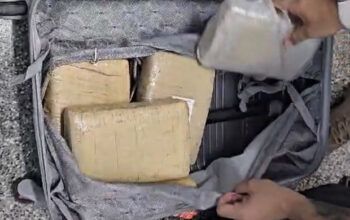 DIP apreende drogas avaliadas em R$ 150 mil dentro embarcação em Manaus